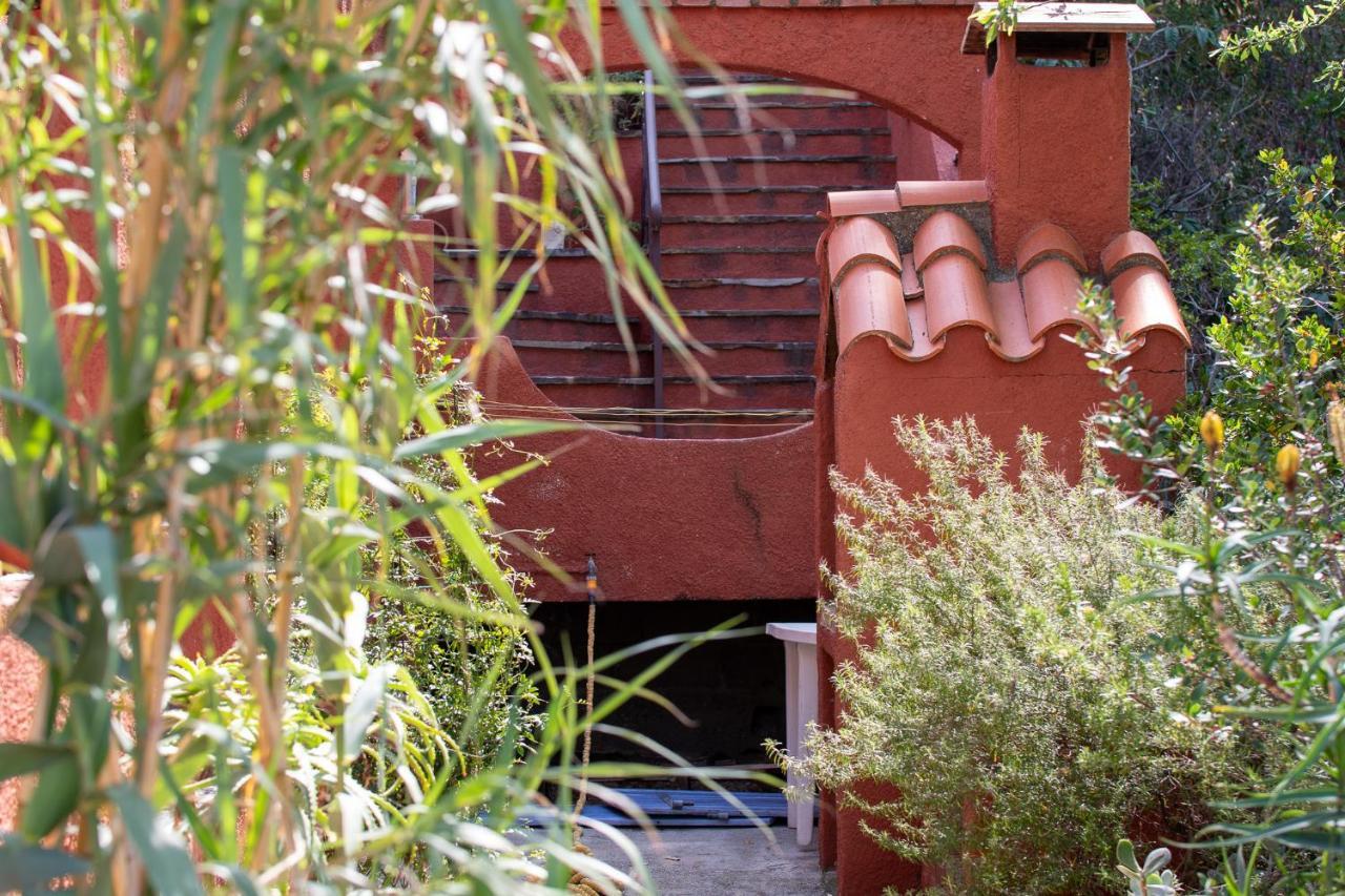 Villa Bougainvilliers بانيول سور مير المظهر الخارجي الصورة