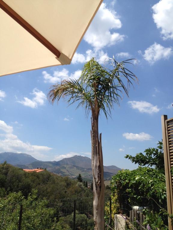 Villa Bougainvilliers بانيول سور مير الغرفة الصورة