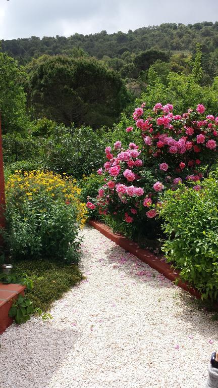 Villa Bougainvilliers بانيول سور مير الغرفة الصورة